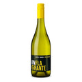 Inflagrante Secco Bianco Frizzante – Produktflasche freigestellt
